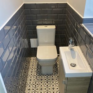 toilet renovation